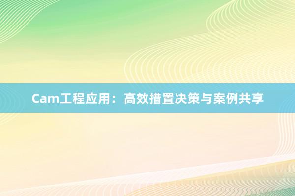 Cam工程应用：高效措置决策与案例共享